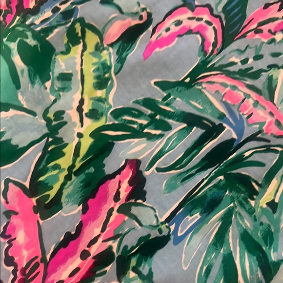 Lilly Pulitzer Pink and Blue Sheath Dress 3/4 Sleeve - Picture 3 of 4